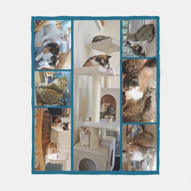Manta del paño grueso y suave de los gatos (Anverso)