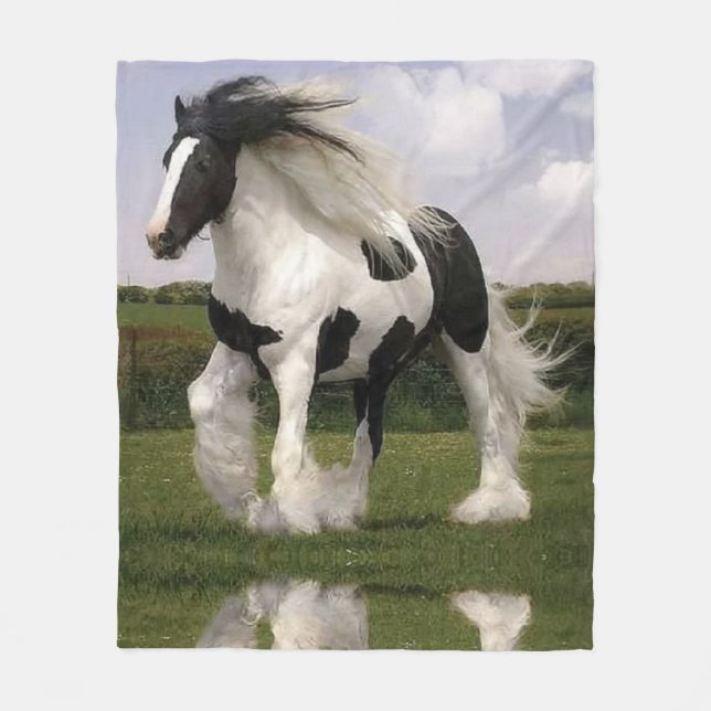 Manta del paño grueso y suave del caballo (Anverso)