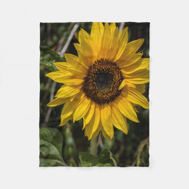 Manta del paño grueso y suave del girasol (Anverso)