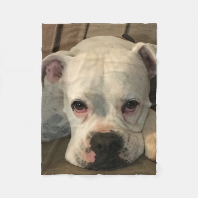 Manta del perro (Anverso)