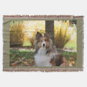 Manta del tiro de Sheltie