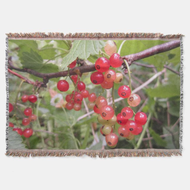 Manta Desglose por corriente redundante (Anverso)