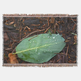 Manta Dew Dappling Leaf