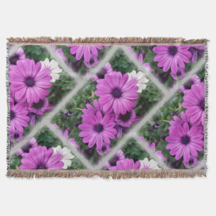 Manta Diásisis moradas