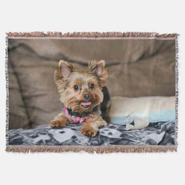 Manta Dínamo pequeño (Anverso)