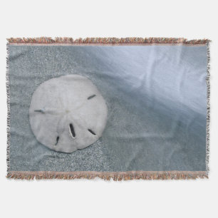 Manta Dólar de arena en la playa Isla Sanibel, Florida