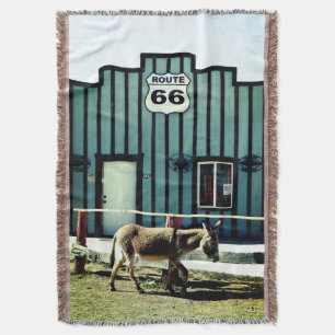 Manta Donkey Town Oatman Arizona