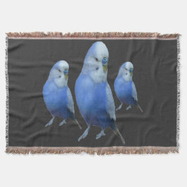 Manta drei blaue Wellensittiche