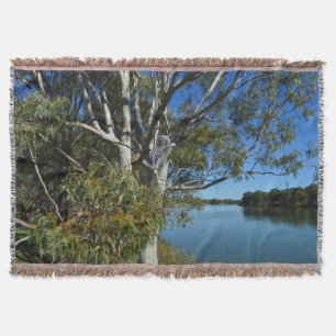 Manta El Oso De Koala Dormía En El Árbol De Goma,