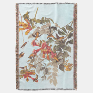 Manta El rubí tropical de Audubon rotó los colibríes