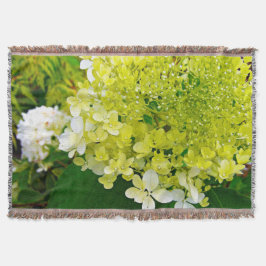 Manta Elegante Hortensia Limelight Verde Chartreuse