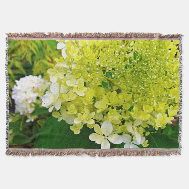 Manta Elegante Hortensia Limelight Verde Chartreuse (Anverso)