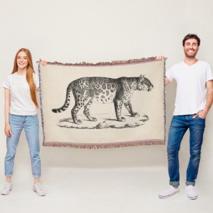 Manta Esbozo Leopardo de Brodtmann