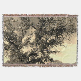 MANTA ESTILO DE ARTE Y DISEÑO EN BLANCO