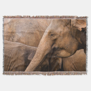 Manta Familia Elefante: Vida silvestre majestuosa
