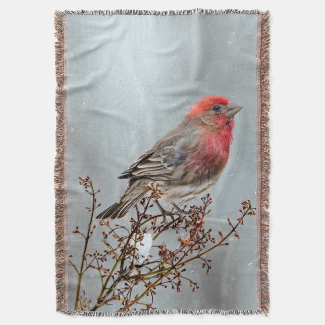 Manta Finca de casa en nieve - Fotografía original (Frente vertical)