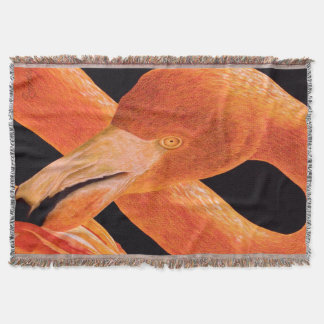 Manta Flamingo