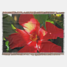 Flor roja hibiscus en el sol