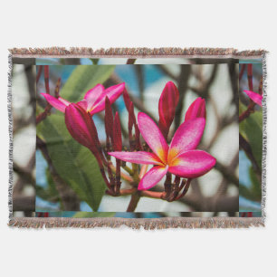 Manta Florecimiento de plumeria de fondo de flores exóti