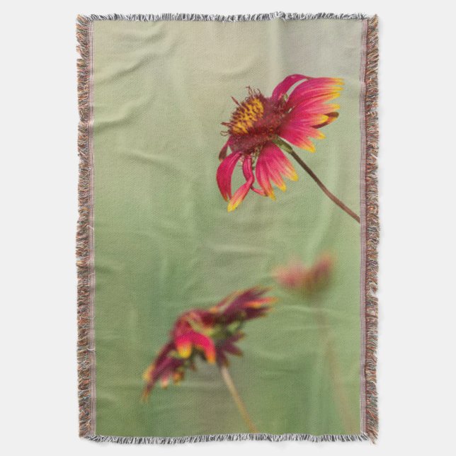 Manta Flores de cono que comienzan a florecer (Frente vertical)