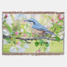 Flores de pájaro azul y manzana