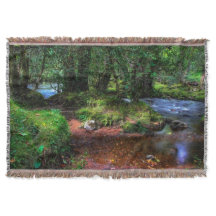 Fluye Tranquila Por El Parque Nacional Del Río - D