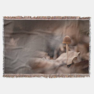 Manta Foto de Mushroom Nature