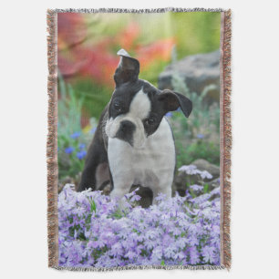 Manta Foto de retrato de cachorro de perro adorador de B