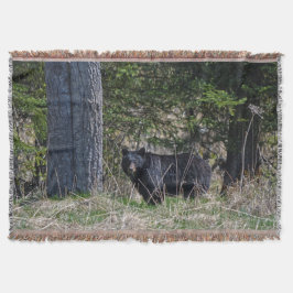 Manta Foto de vida salvaje del oso negro brillante