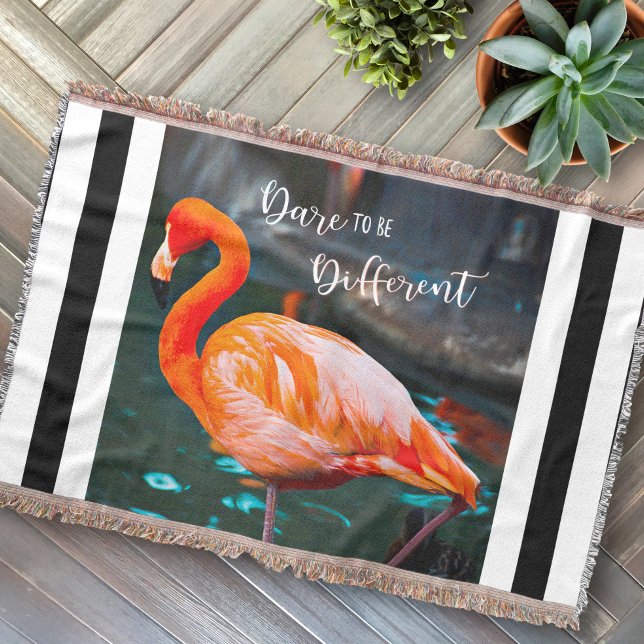 Manta Foto rosa Flamingo Foto Black Stripe Dare Cita (Subido por el creador)