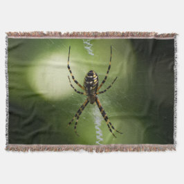 Manta Fotografía de araña de jardín dorado