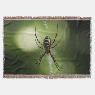 Manta Fotografía de araña de jardín dorado