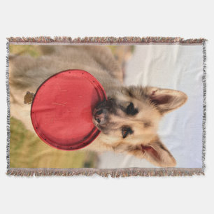 Manta Frisbee