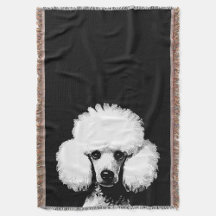 Fun Retro Moda Pop Art Poodle