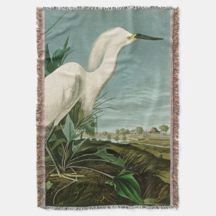 Manta Garza Blanca de Audubon Ave Birding