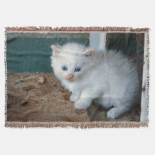 Manta Gatito blanco
