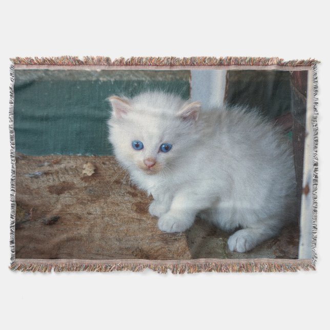 Manta Gatito blanco (Anverso)