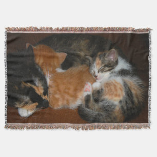 Manta Gatitos somnolientos