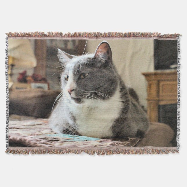 Manta Gato (Anverso)