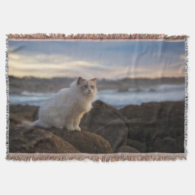 Manta Gato de Ragdoll en la playa (Anverso)