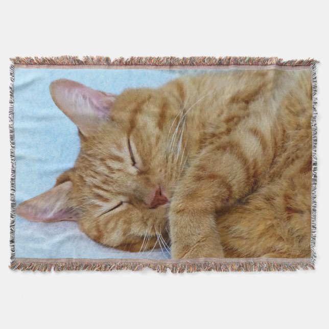 Manta Gato durmiente (Anverso)
