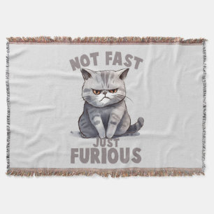 Manta Gato gracioso - No rápido, sólo curioso