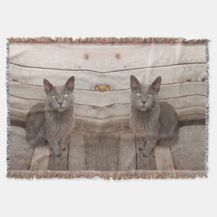 Manta Gato gris