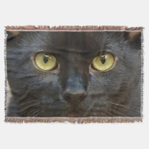 Manta Gato negro