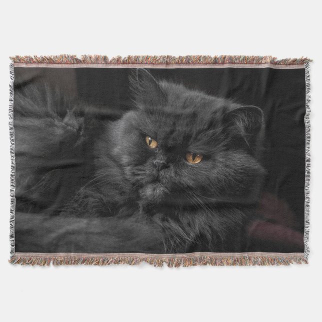 Manta Gato Persa Negro (Anverso)
