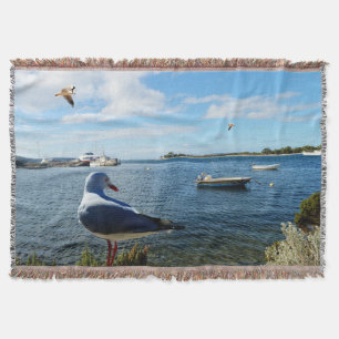 Manta Gaviota, Barcos Y El Océano,