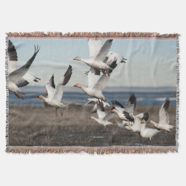 Manta Geese de nieve voladora (Anverso)
