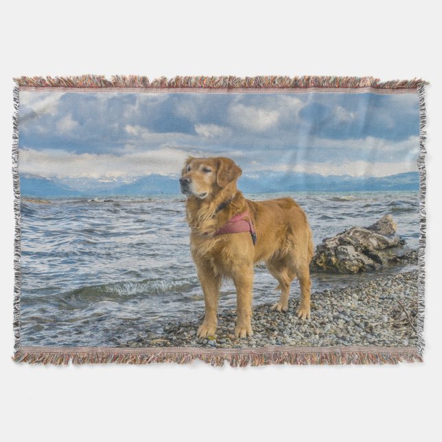 Manta Golden Retriever de pie en el océano azul rocoso (Anverso)