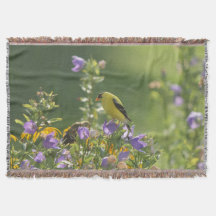 Goldfinch en una flor harebell