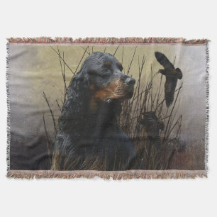Manta Gordon Setter, compañero de caza